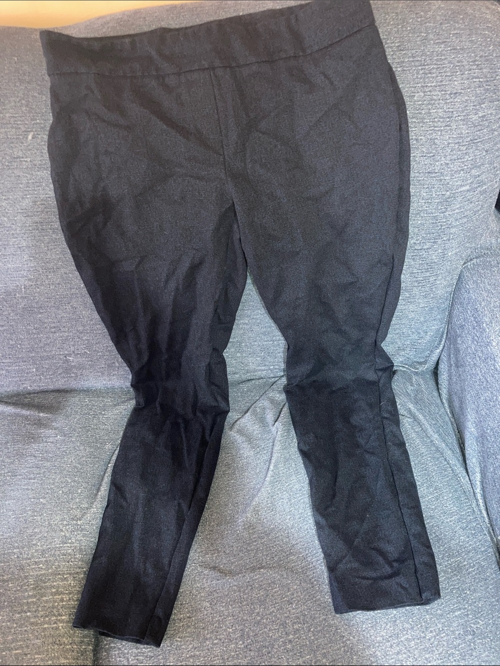 Dalia womens Blue Dress Pants leggings- Slim Tapered Fit